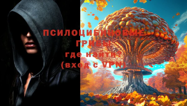 ешки Зеленодольск