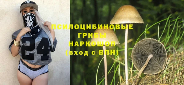 прущая мука Зеленокумск
