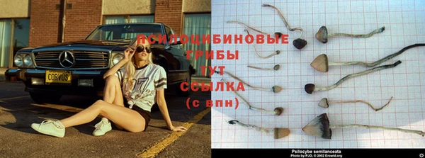 прущая мука Зеленокумск