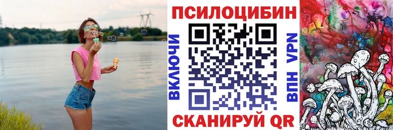 Псилоцибиновые грибы ЛСД  Западная Двина 